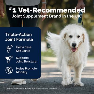YuMOVE Mobility Hip & Joint Care Chewable Tablet Supplement for Senior Dogs, 240 count