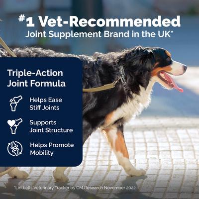 YuMOVE Mobility Hip & Joint Care Soft Chew Supplement for Large & Giant Dogs, 120 count