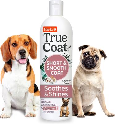 Champú para perros True Coat Short & Smooth, suaviza y da brillo con leche de avena, aceite de coco y vitamina E, botella de 16 onzas líquidas