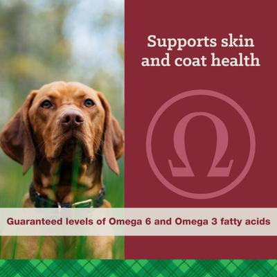 True High Energy 24/20 Dry Dog Food, 50-lb bag