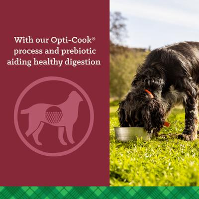 True High Energy 24/20 Dry Dog Food, 50-lb bag