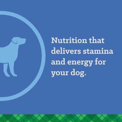 True Active 26/18 Dry Dog Food, 50-lb bag