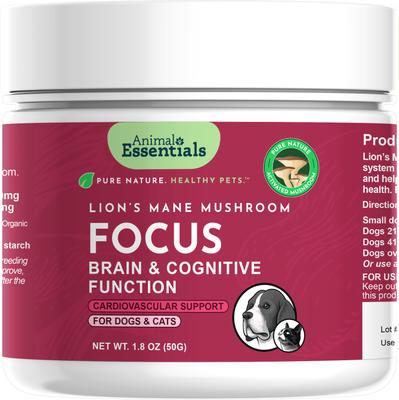 Focus Lions Mane Cat & Dog Vitamin Supplement, 50-gm jar