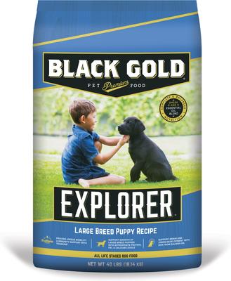 Comida seca para perros Explorer Large Breed Puppy Recipe, bolsa de 40 lb