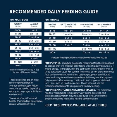 Alimento seco para perros adultos Ocean Catch sin gluten, mariscos y pescado, bolsa de 40 lb