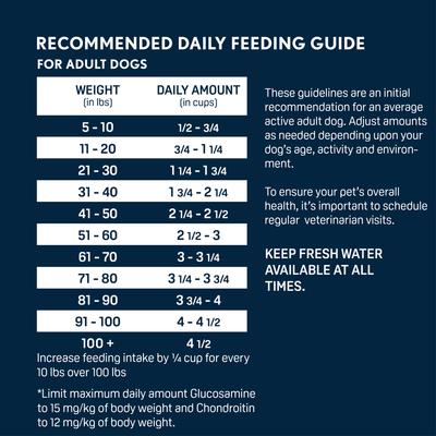 Hi-Energy Adult Gluten-Free Beef Dry Dog Food, 40-lb bag