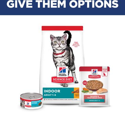 Adult Indoor Salmon & Vegetables Stew Wet Cat Food, 2.8-oz pouch, case of 24