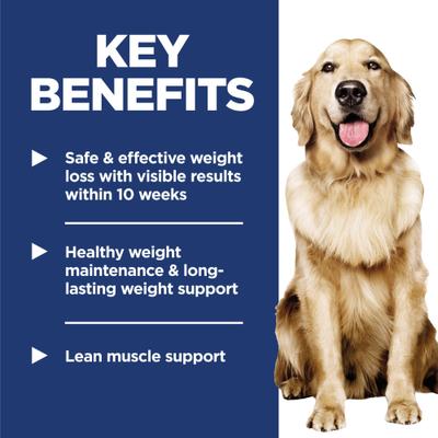 Adult Perfect Weight Management Vegetables & Salmon Stew Wet Dog Food, 2.8-oz pouch, case of 24