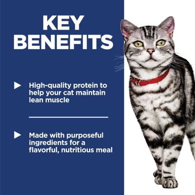 Adult Indoor Salmon & Vegetables Stew Wet Cat Food, 2.8-oz pouch, case of 24