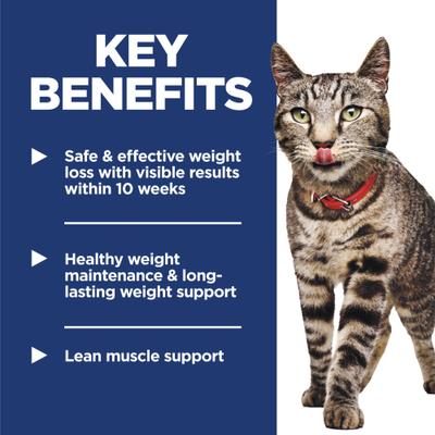 Adult Perfect Weight Management Vegetables & Chicken Stew Wet Cat Food, 2.8-oz pouch, case of 24