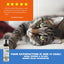 Waterless No-Rinse Cat Shampoo, 7.10-fl oz bottle