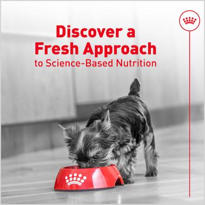 Alimento para cachorros Fresh Health Nutrition, bolsa de 14.1 oz, paquete de 7