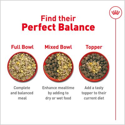 Fresh Health Nutrition Adult Dog Food, 14.1-oz pouch, pack of 7