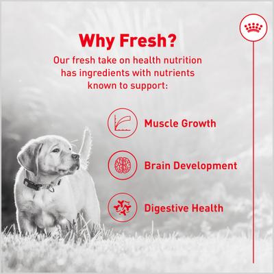 Alimento para cachorros Fresh Health Nutrition, bolsa de 8.8 oz, paquete de 7