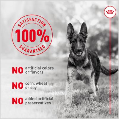 Alimento para cachorros Fresh Health Nutrition, bolsa de 8.8 oz, paquete de 7