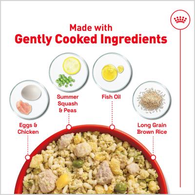 Alimento para cachorros Fresh Health Nutrition, bolsa de 8.8 oz, paquete de 7