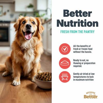 Alimento para perros de carne de res y verduras real, horneado lentamente y secado al aire, bolsa de 1 lb