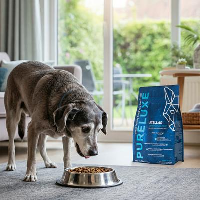 Stellar Low Protein & Fat Chicken, Trout & Eggs Dry Dog Food, 4-lb bag