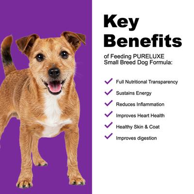 Small Breed Grain-Free Turkey, Split Peas & Salmon Dry Dog Food, 11-lb bag