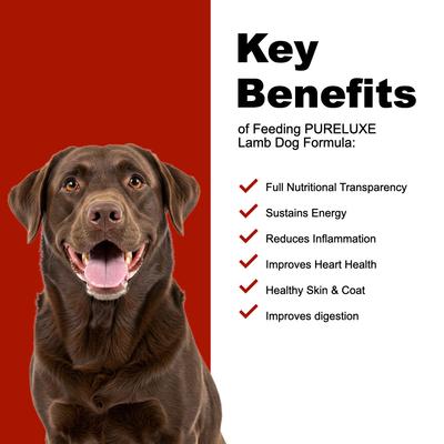 Grain-Free Lamb & Chickpeas Dry Dog Food, 22-lb bag