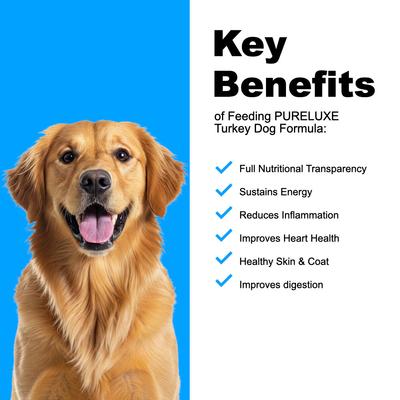 Grain-Free Turkey Dry Dog Food, 22-lb bag