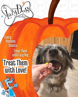 The Original Pup-PIE HomeStyle Pumpkin Dog Treat