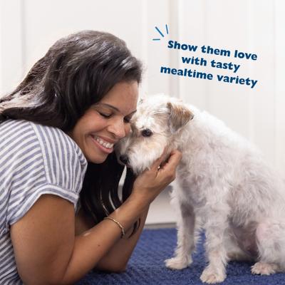 Sensitive Solutions Turkey & Pumpkin Wet Dog Food, 12.5-oz can, case of 12