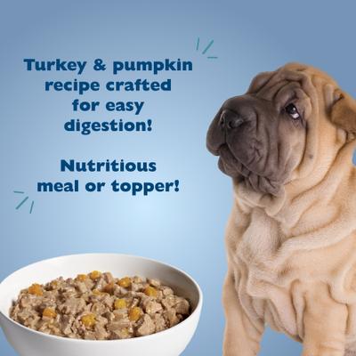 Sensitive Solutions Turkey & Pumpkin Wet Dog Food, 12.5-oz can, case of 12
