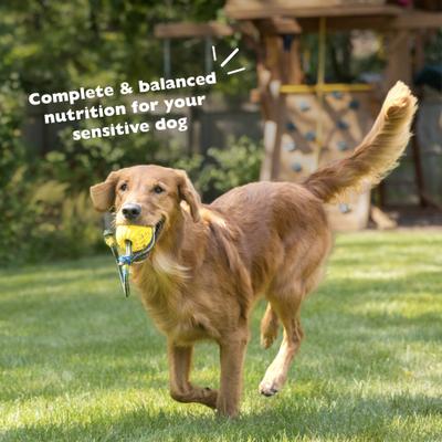 Sensitive Solutions Chicken & Sweet Potato Wet Dog Food, 12.5-oz can, case of 12