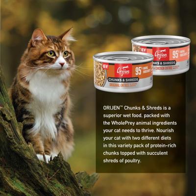 Original Chunks & Shreds Variety Pack Salmon & Chicken Entrees Wet Cat Food, 3-oz can, case of 12