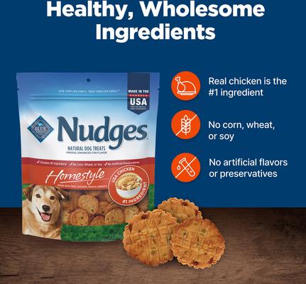 Nudges Homestyle Real Chicken Dog Treats, 16-oz bag
