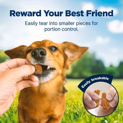 Nudges Homestyle Real Chicken Dog Treats, 16-oz bag