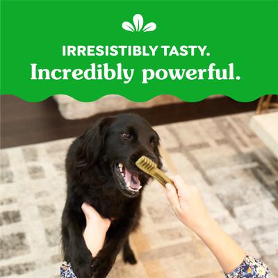 Weight Management Regular Natural Dental Dog Treats, 27 count