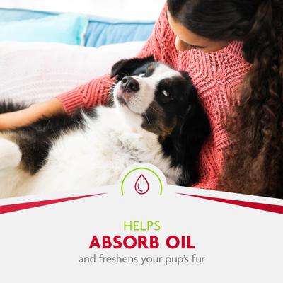 Fresh & Clean Dry Dog Shampoo, Scented, 7-fl oz bottle