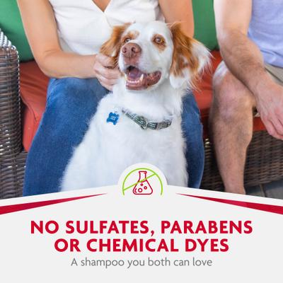 Fresh & Clean Dry Dog Shampoo, Scented, 7-fl oz bottle