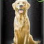 Fresh & Clean Dry Dog Shampoo, Scented, 7-fl oz bottle