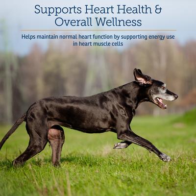 LiquiCarn Liquid Heart Supplement for Cats & Dogs, 4-fl oz bottle