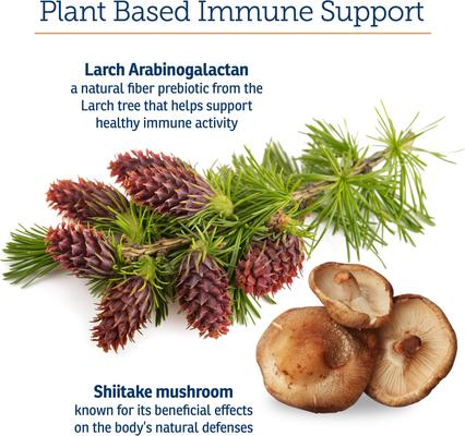 Immuno Capsules Immune Supplement for Cats & Dogs, 60 count