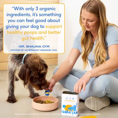 Organic Pumpkin Fiber Powder Digestive Supplement for Dogs, 8-oz