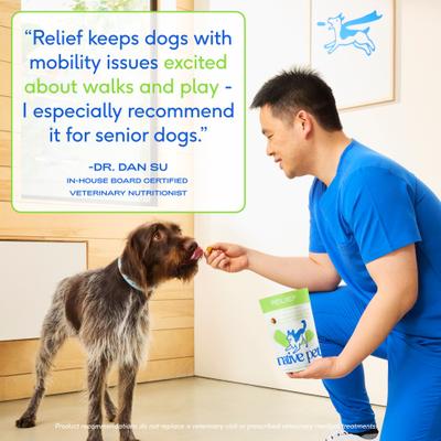 Hip & Joint Inflammatory Care Chews for Dogs, 30 count