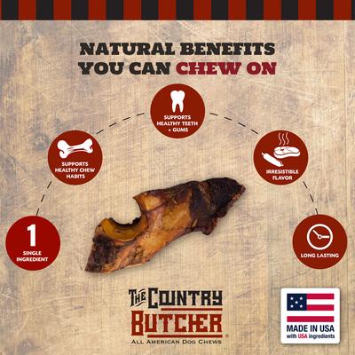 Elbow Beef Bone Dog Treat