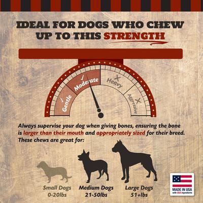 Beef Rib Bone Natural Dog Treats, Large, 2 count