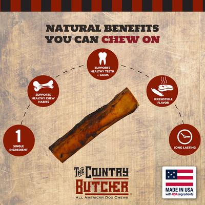 Beef Rib Bone Natural Dog Treats, Large, 2 count