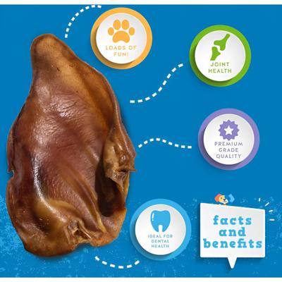 Whole Pig Ear Dog Chews, 10 count