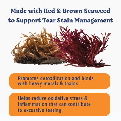 Sea Sticks Tear Stain Friendly Adult Crunchy Dog Treats, Small, 24 count