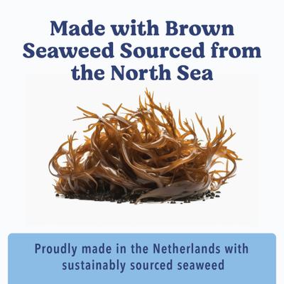 Sea Sticks Multi Benefit Daily Adult Crunchy Dog Treats, Large, 6 count