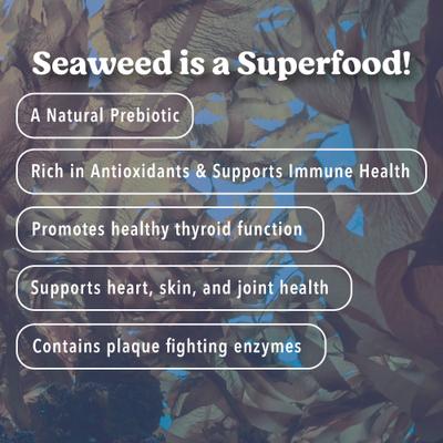 Sea Sticks Multi Benefit Daily Adult Crunchy Dog Treats, Large, 6 count