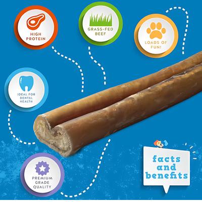 Odor Free 6-inch Thick Beef Bully Stick Dog Chews, 15 count