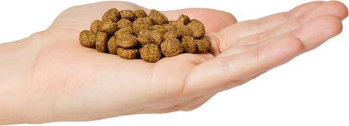 Weight Management + Joint Care Adult Grain-Free Salmon Recipe Dry Dog Food, 22-lb bag