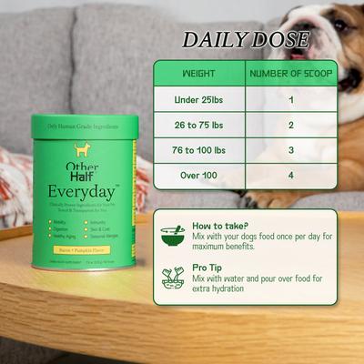 Everyday Multivitamin Bacon & Pumpkin Flavored Powder Supplement for Dogs, 60 scoops